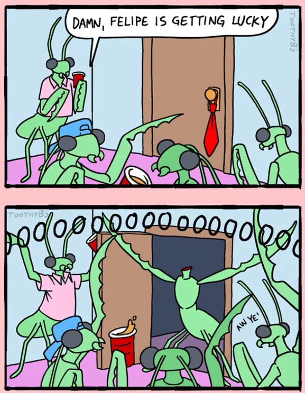 Meme_otros - 
