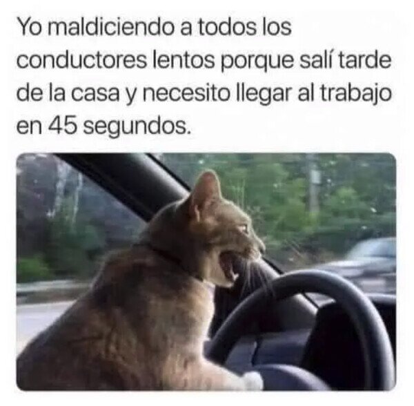 Meme_otros - Echo las culpas a los demás