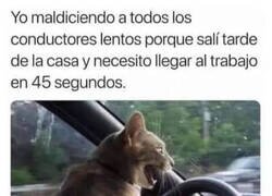 Enlace a Echo las culpas a los demás