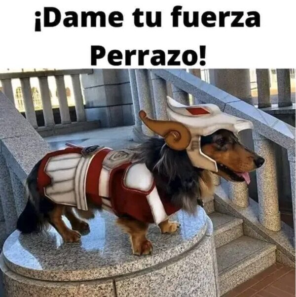 Meme_otros - Perro del Zodiaco