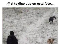 Enlace a Observa con atención