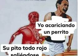 Enlace a Inquietante