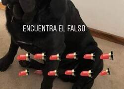 Enlace a Encuentra el falso pintalabios