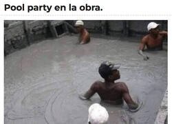 Enlace a Cómo tarden mucho en salir...