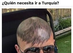Enlace a Peluca tatuada