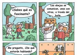 Enlace a Las abejas se comunican bailando