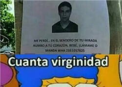 Enlace a Tira para atrás