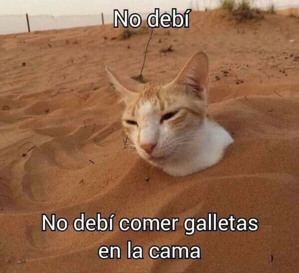 Meme_otros - Ahora solo veo migas
