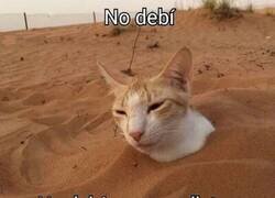 Enlace a Ahora solo veo migas