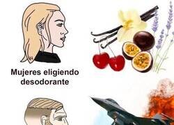 Enlace a Los valores que buscamos