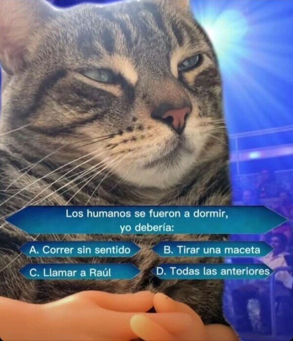 Otros - ¿Quién quiere ser Michi nario?