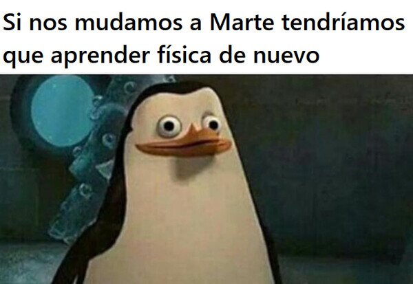Meme_otros - No, por favor...