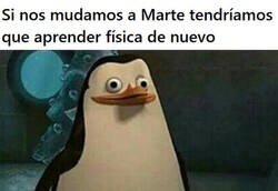 Enlace a No, por favor...