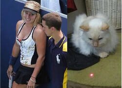 Enlace a Mismo efecto, misma reacción