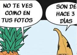 Enlace a Enseguida se ponen feos