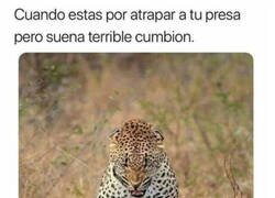 Enlace a Cuando suena la cumbia