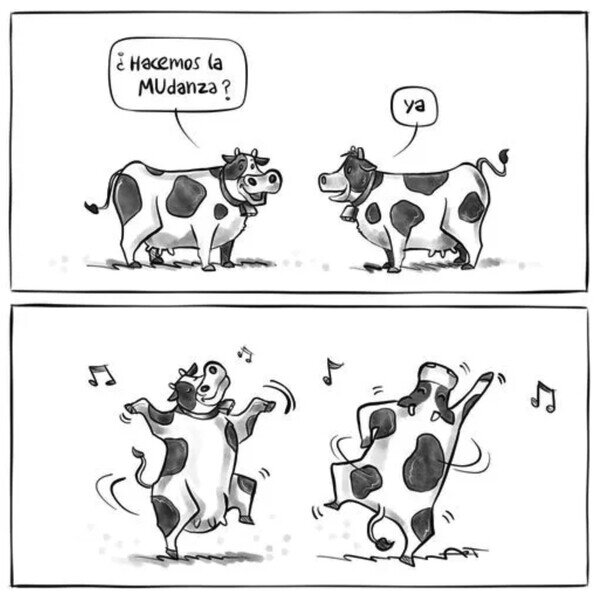 Meme_otros - Meme muuuuuy tonto