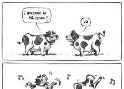 Enlace a Meme muuuuuy tonto