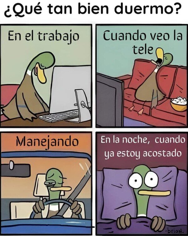 Meme_otros - Sueño inoportuno