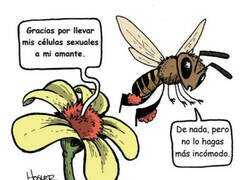 Enlace a Visto así...