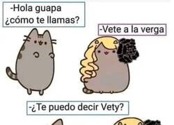 Enlace a Suena más cariñoso