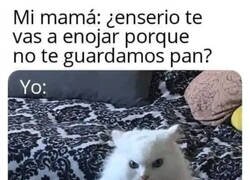 Enlace a Yo también me enfadaría