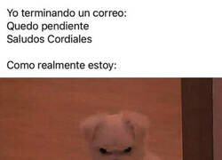 Enlace a No me siento muy cordial