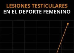 Enlace a En auge en los últimos años