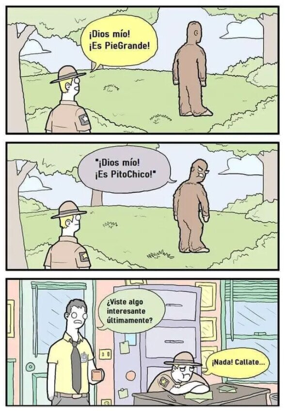 Meme_otros - PieGrande puede lastimarte de muchas formas
