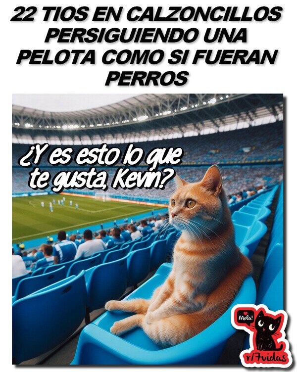 Ése Gato Cabrón,gato,meme miaujorado,fútbol