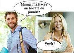 Enlace a La tontería del día