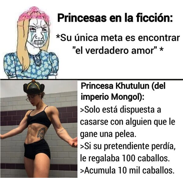 Meme_otros - Las princesas en la vida real