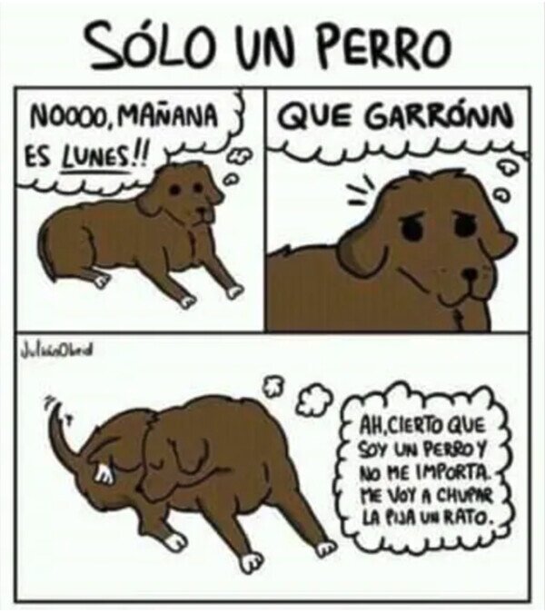 Otros - Ojalá vivir sin preocupaciones como un perro