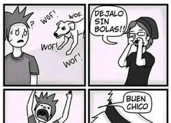 Enlace a Amigo del perro Mistetas