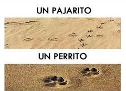 Enlace a La huella que dejamos