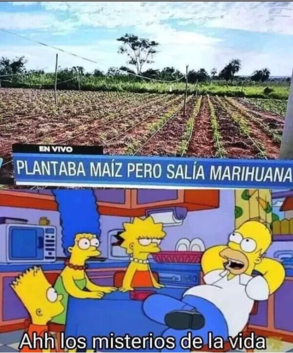 Meme_otros - ¿Por qué será?