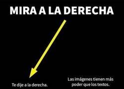 Enlace a ¿Por qué no hiciste caso?