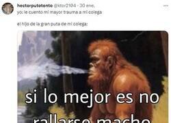 Enlace a Consejo amigo