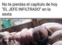 Enlace a Se inflitro la mar de bien