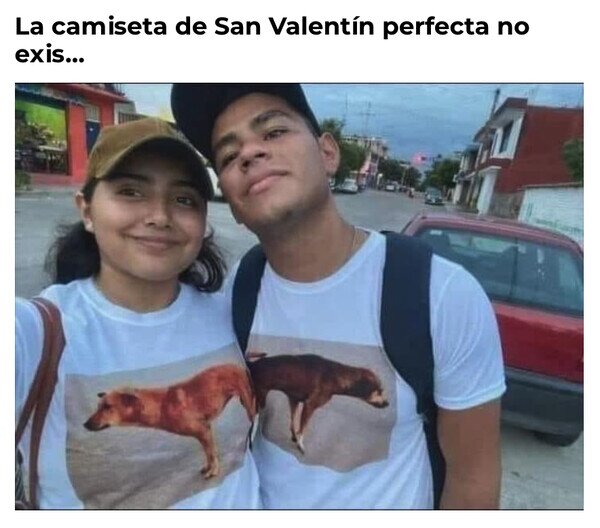 San Valentín,perros,camisetas,pareja