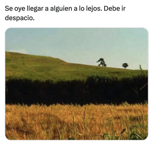 Sam,lentín,San Valentín,meme,cerca