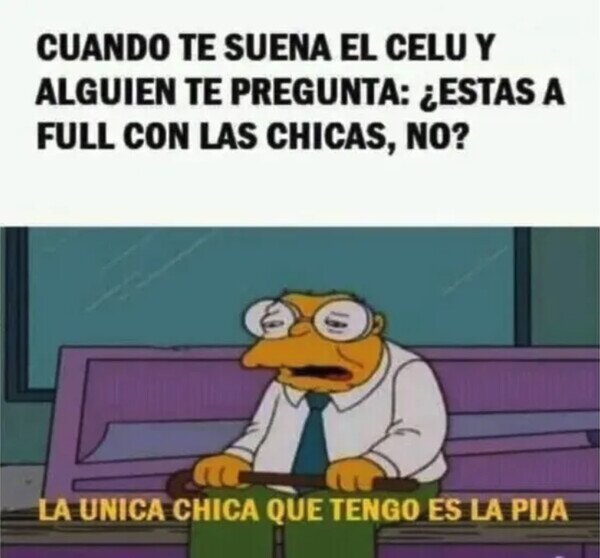 Meme_otros - La única chica