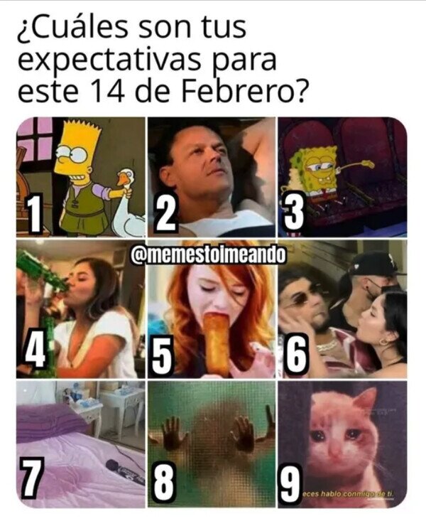 Meme_otros - ¿Cómo pasarás tu San Valentín?