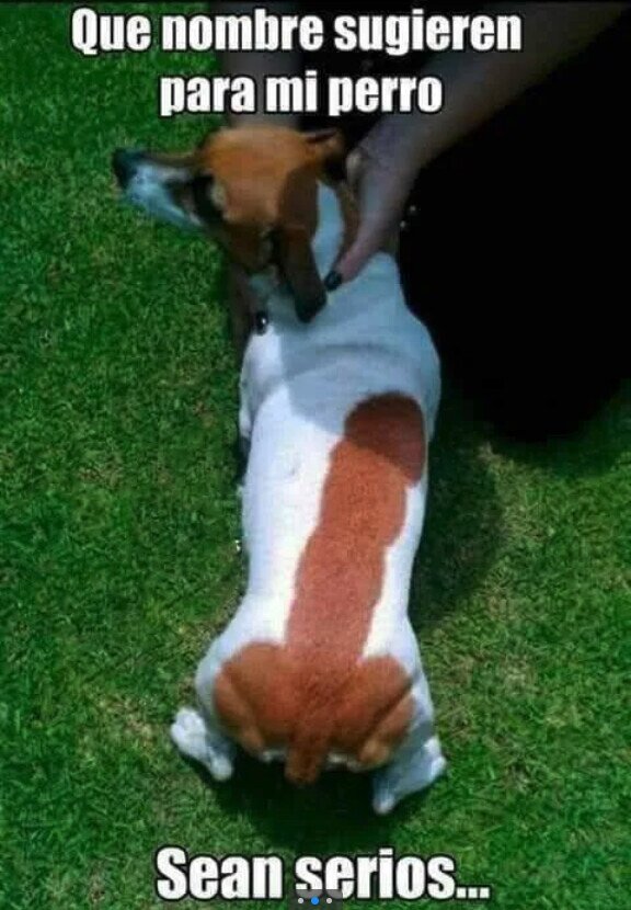 Meme_otros - ¿Se os ocurre alguno?