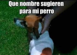 Enlace a ¿Se os ocurre alguno?