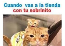 Enlace a A cargo del peque