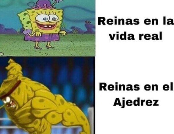 Meme_otros - Nada que ver