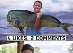 Enlace a Suele pasar