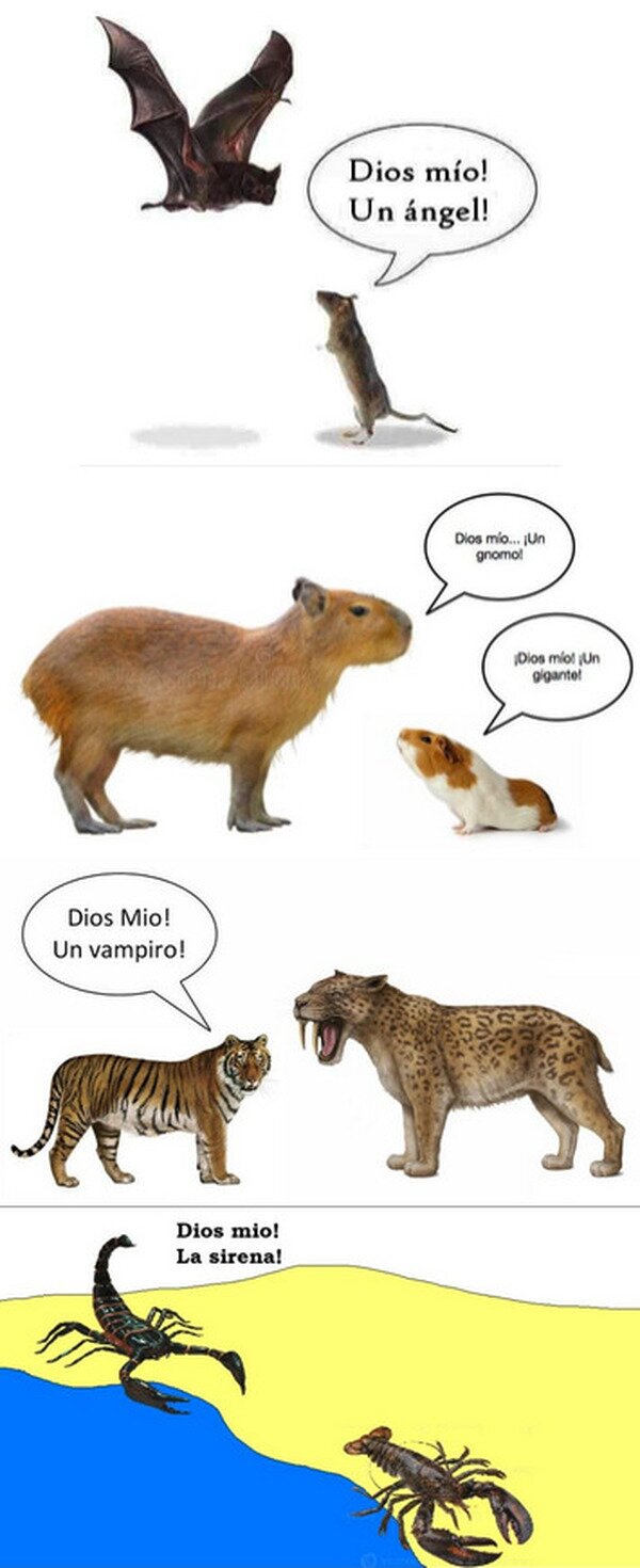 Meme_otros - Desde otro punto de vista