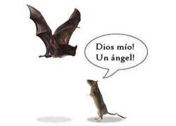 Enlace a Desde otro punto de vista